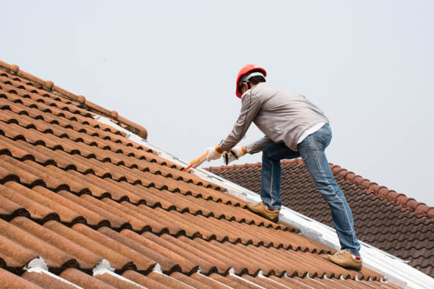 Best Roof Insulation Installation  in Willow Grove, TX