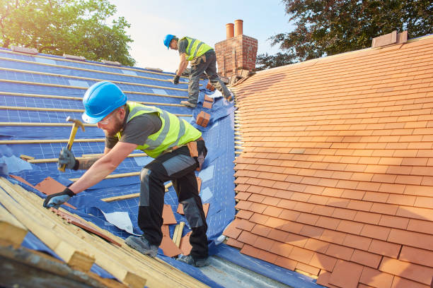 Best Roofing for New Construction  in Willow Grove, TX